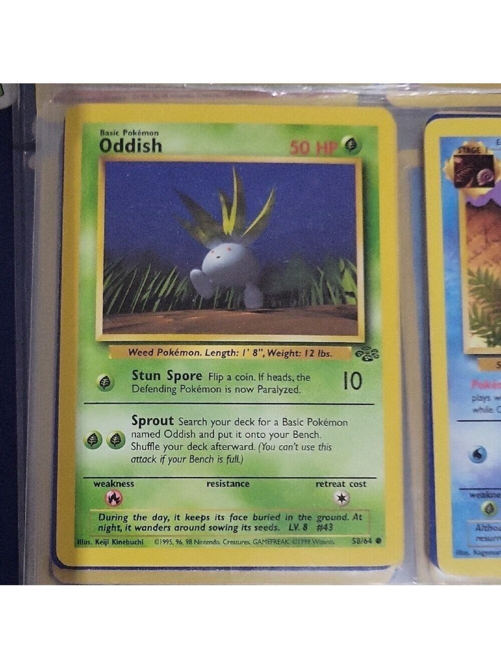 Pokemon Oddish Card